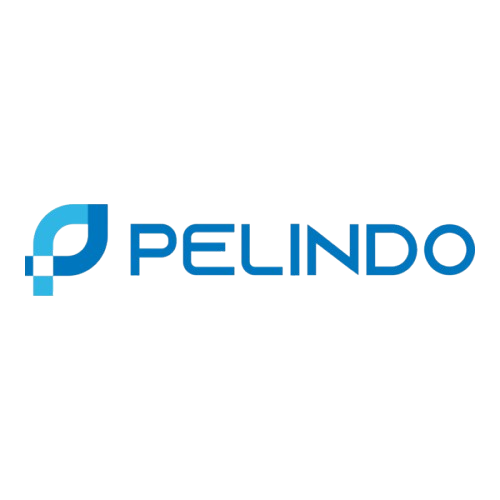 pt-pelindo-logo-png_seeklogo-443066-removebg-preview